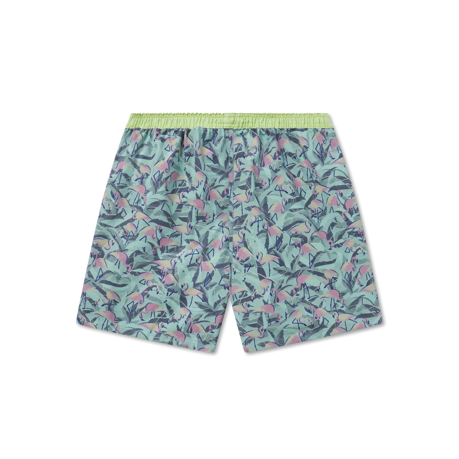 Hanover Flamingos Boxer