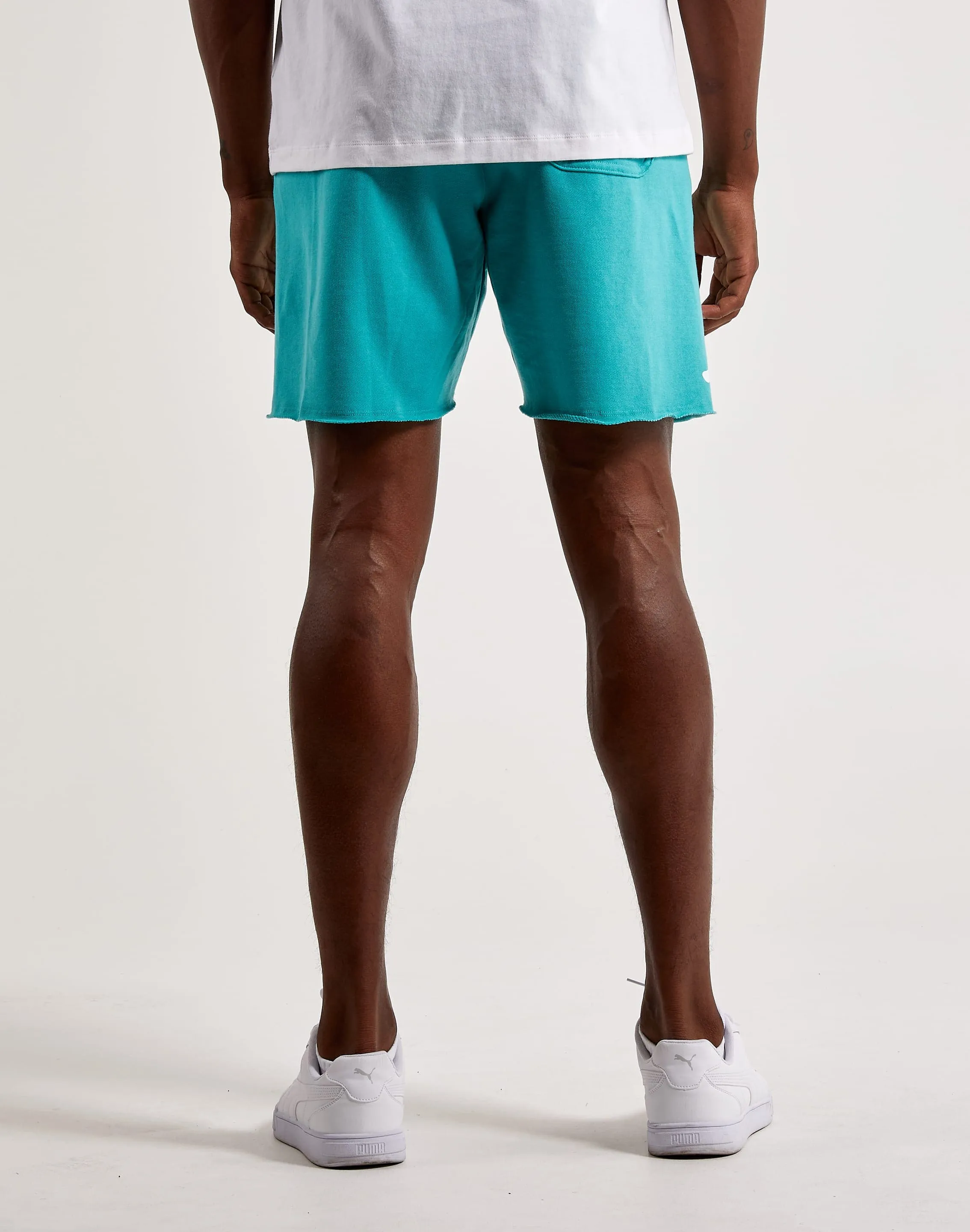 Jordan Essential Fleece Shorts