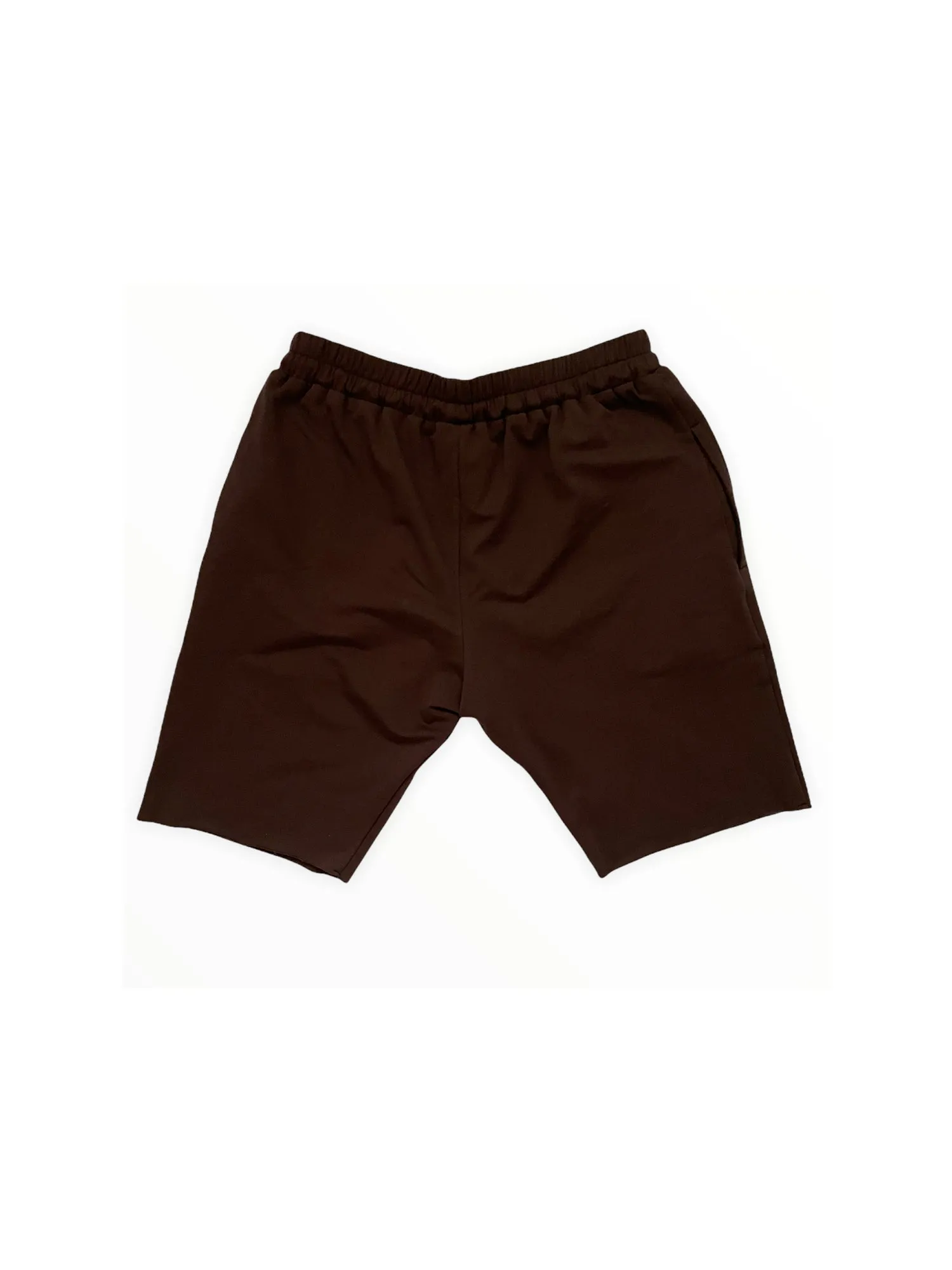 TheG Essential Shorts // brown